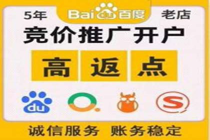 成功SEM服务案例：优化广告投放